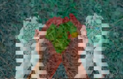 How to be a more environmentally conscious contractor